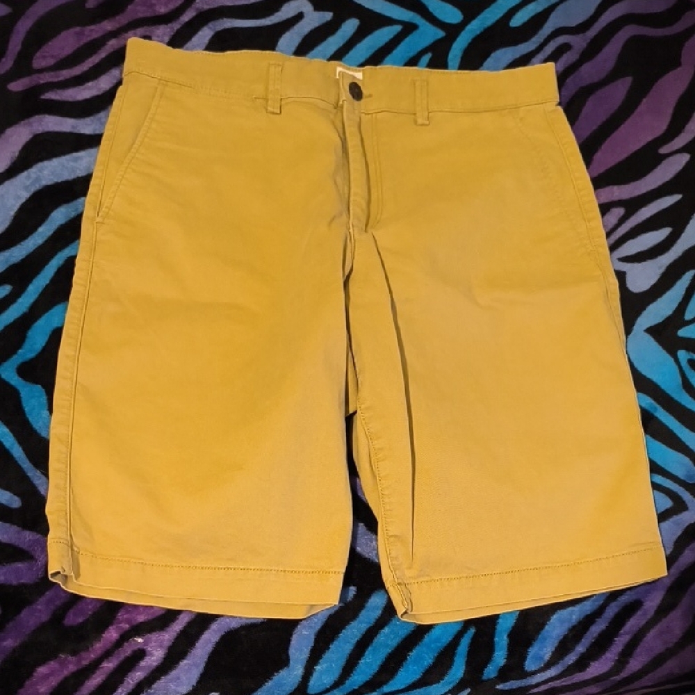 GAP | Men's Tan Flat Front Shorts (22 Inches)